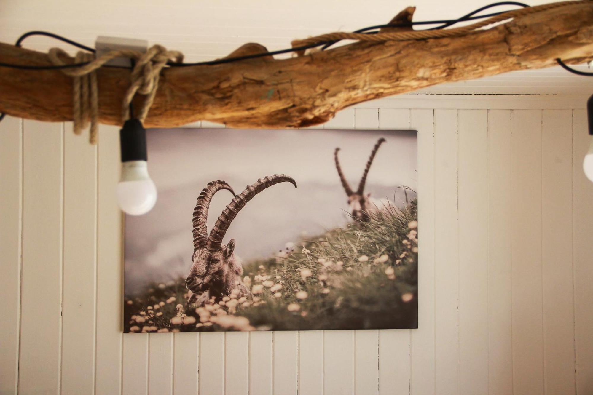 Ferienhaus Zum Klettersteig - Kletterwand, Abstellraum Fuer Ski Oder Bikes, Sauna, Kellerbar, Villa Bürs Dış mekan fotoğraf